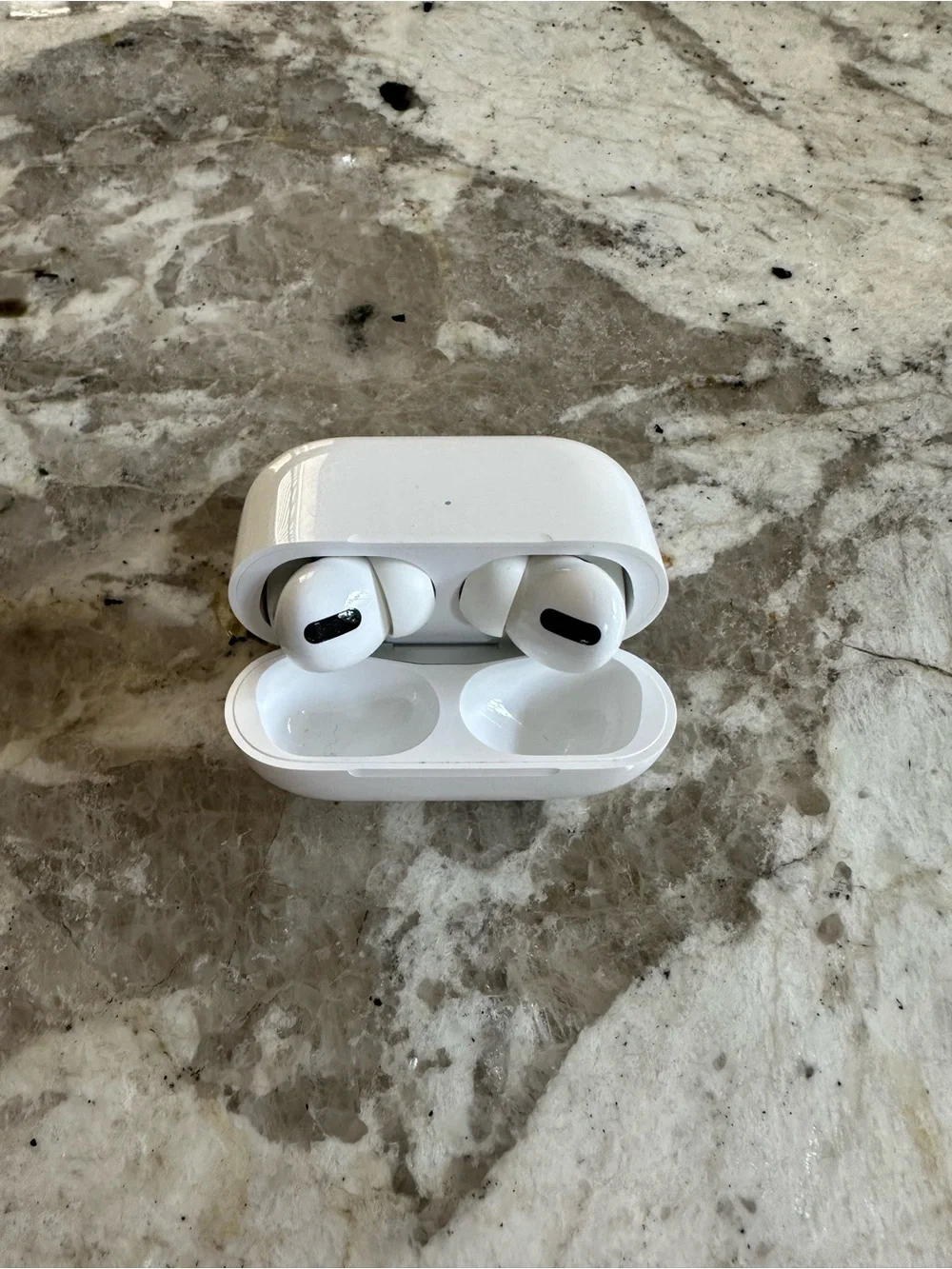 Apple AirPods Pro 1st Generation + Wireless Charging Case